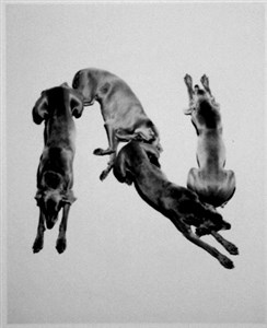 Image description is not available for 2001.072